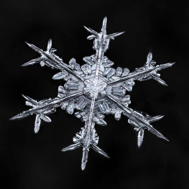 Чарующая красота снежинок в макрофотографиях