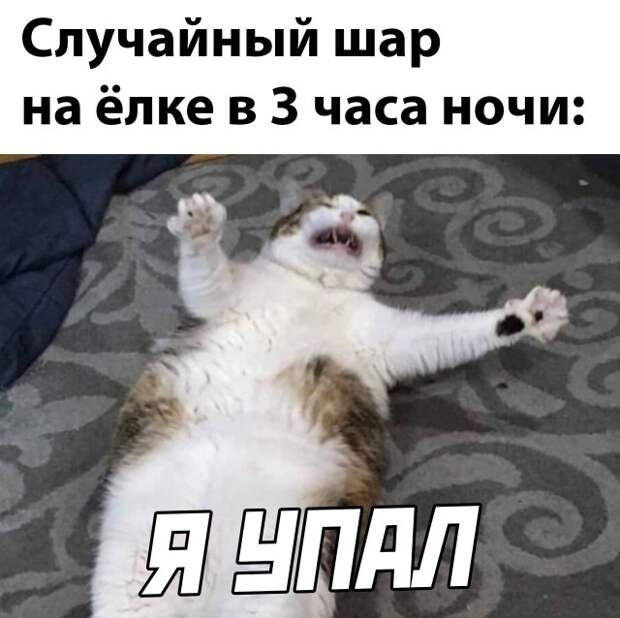 Смешные картинки 27 декабря 2021 года