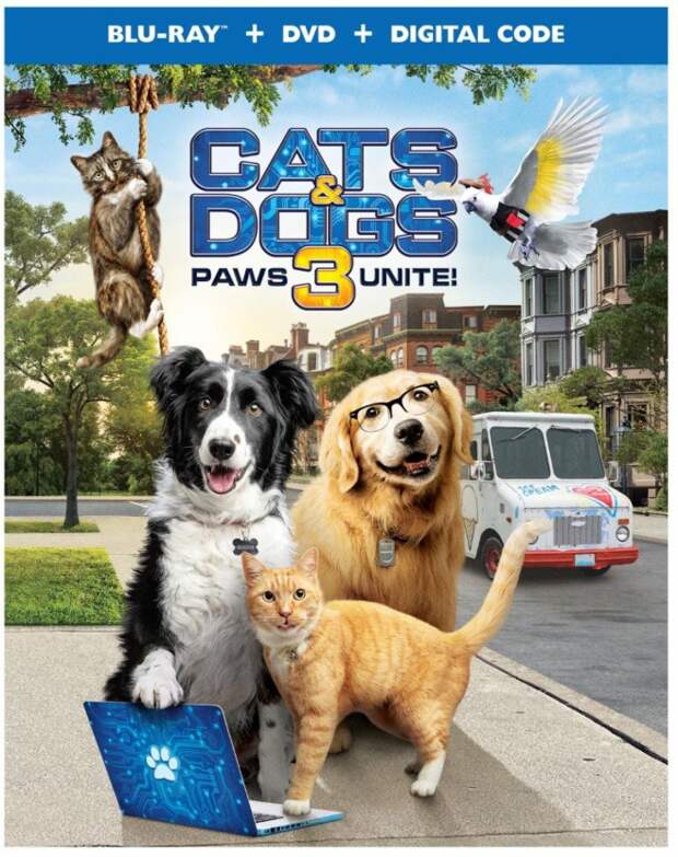 Cats & Dogs 3: Paws Unite! – First Film Clip & Photos Revealed! #CatsandDogs3 #MySillyLittleGang
