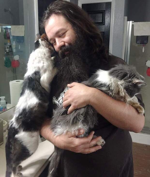 Без кота и жизнь не та