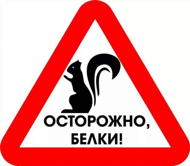 Предупреждающие таблички. Прикольные. Подборкаchert-poberi-tablichki-53100427112020-6 картинка chert-poberi-tablichki-53100427112020-6