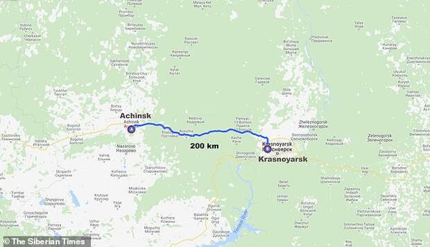 Брошенная в России собака прошла 200 километров, чтобы вернуться домой