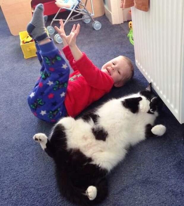boredpanda.com/Zuzana Kubatova