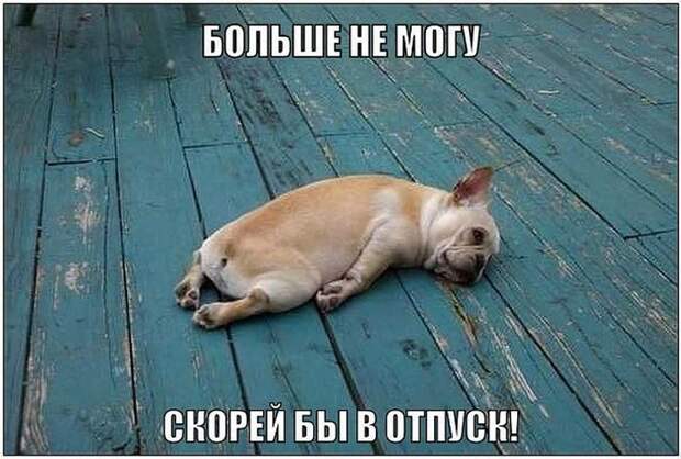 Смешные картинки с надписями для поднятия настроения (11 фото) Смешные картинки с надписями для поднятия настроения (11 фото)