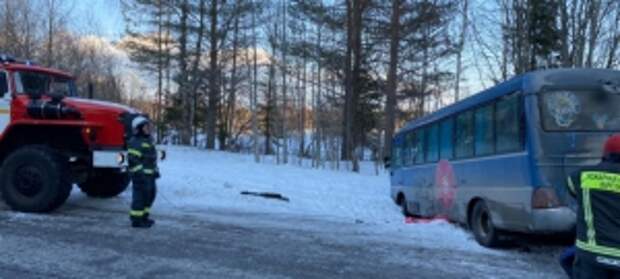 Александр Бастрыкин поручил руководителю следственного управления СК России по Республике Карелия доложить о проверочных мероприятиях по факту дорожно-транспортного происшествия с детьми