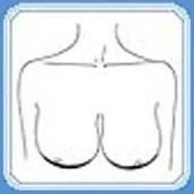 Характер женщины можно узнать по форме ее груди