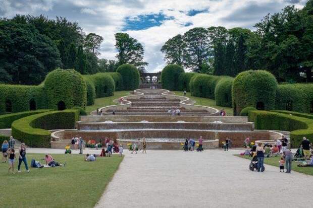 Ядовитый сад в Великобритании привлекает туристов