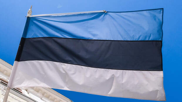 В посольстве РФ сочли невозможными переговоры с Эстонией по госгранице