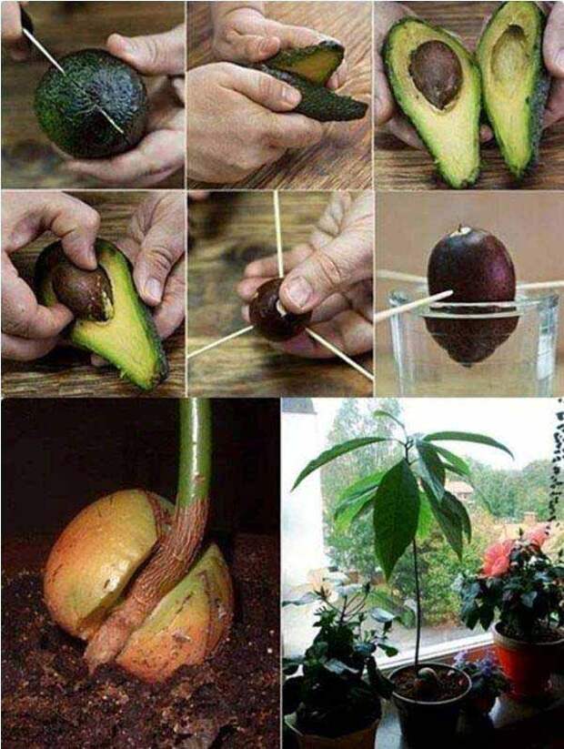 24-Highly-Creative-and-Clever-Gardening-Tricks-to-Enhance-Garden-homesthetics-decor-24