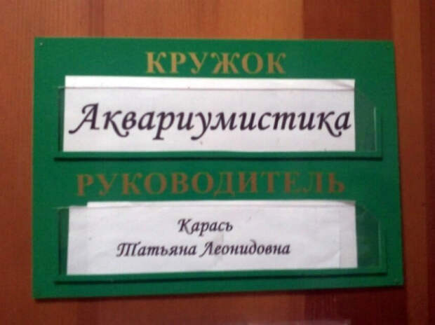 Глупо было бы взять какого-нибудь Иванова, когда среди претендентов была Карась! | Фото: Subscribe.Ru. Глупо было бы взять какого-нибудь Иванова, когда среди претендентов была Карась! | Фото: Subscribe.Ru.
