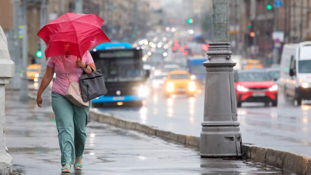 Дождь, грозу и сильный ветер ждут в Москве: синоптики выпустили погодное предупреждение
