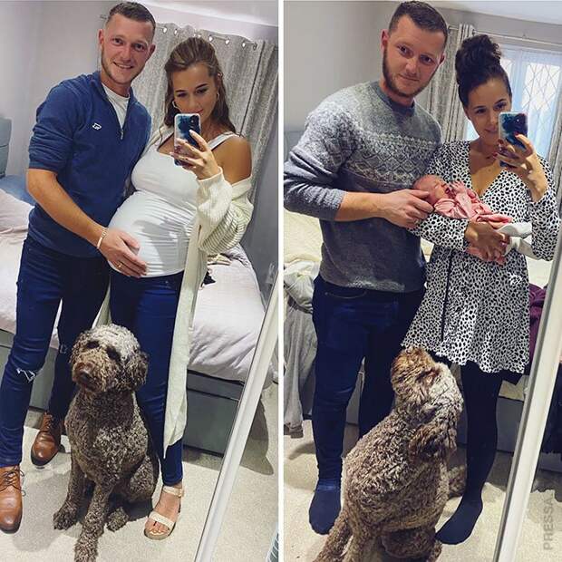 Семейные фотографии с собаками