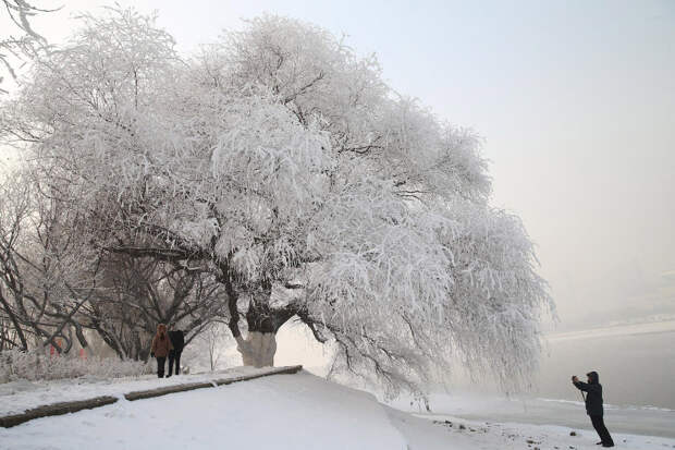 Снежный парк в провинции Ляонин, Китай