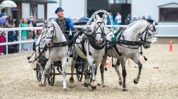 Русская тройка стала официальным спортом