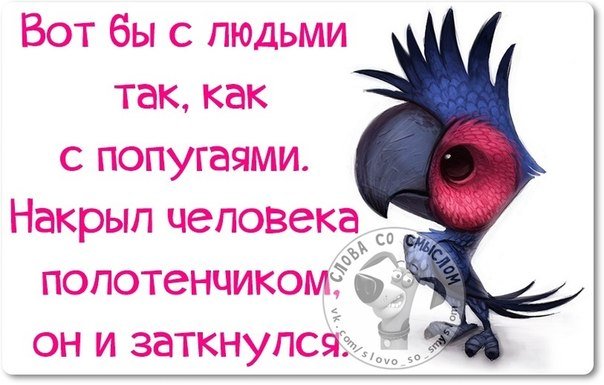 Интересные, стёбные и позитивные фразочки со смыслом (29 фото) Интересные, стёбные и позитивные фразочки со смыслом (29 фото)