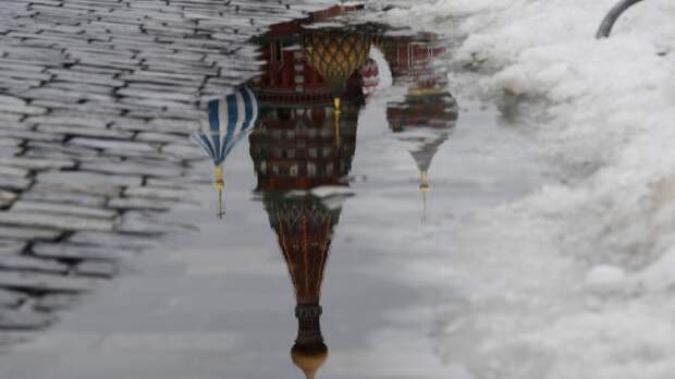 Клещи, комары, грибы: к чему готовиться россиянам после необычайно снежной зимы