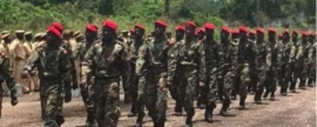 Добровольцы из ЦАР готовы участвовать в спецоперации на Украине