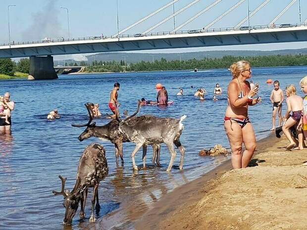 34. Жара в Рованиеми, Финляндия 34. Жара в Рованиеми, Финляндия