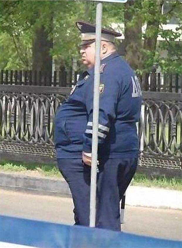 Иногда это, конечно, не работает гаи, гибдд, засада, ловушка, смешно, фото