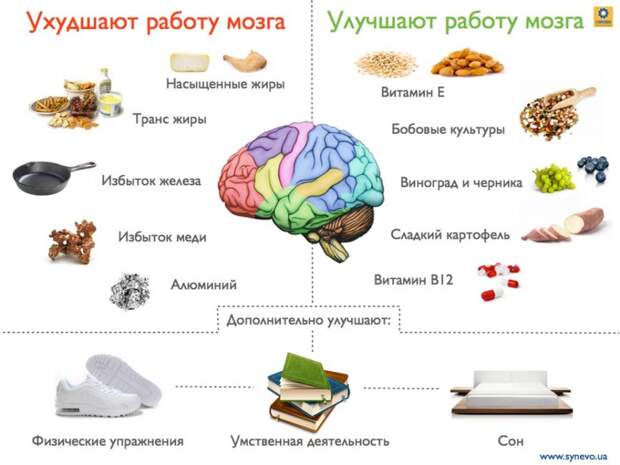 Как улучшить работу мозга ? Как улучшить работу мозга ?