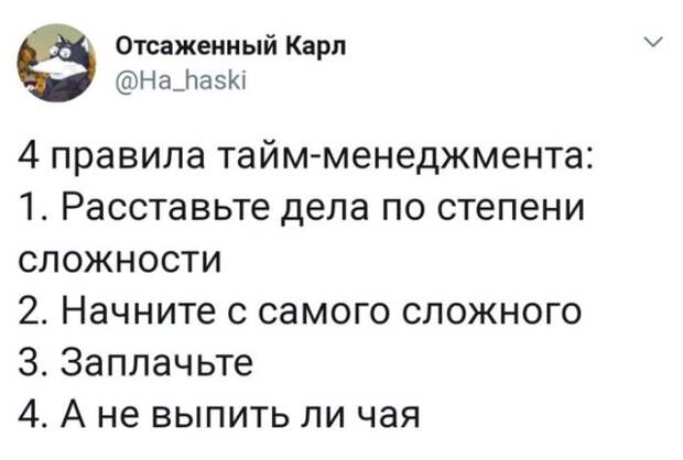 О чем только не говорят в социальных сетях! О чем только не говорят в социальных сетях!