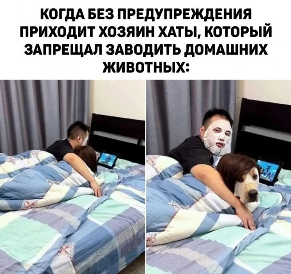 Шуточные новости