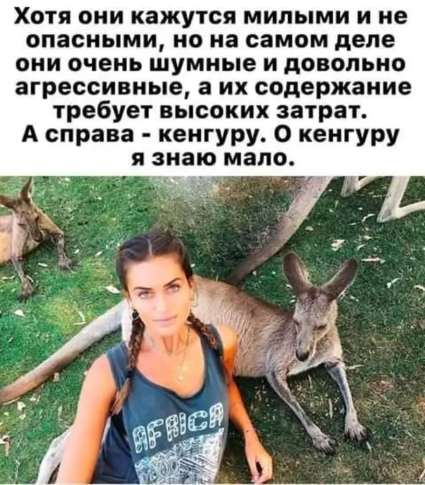 Даже черные полосы моей жизни сделаны из шоколада! Даже черные полосы моей жизни сделаны из шоколада! говорит, Барин, работник, укоса, когда, знаешь, сейчас, Вместо, Семеновских, рублей, делает, Скажите, кадров, сходи, отдел, Вроде, почему, упала, беспорядки, массовые