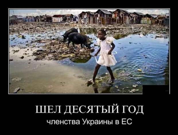 Прикольные демотиваторы с надписями. Подборка chert-poberi-dem-chert-poberi-dem-39190303112020-11 картинка chert-poberi-dem-39190303112020-11
