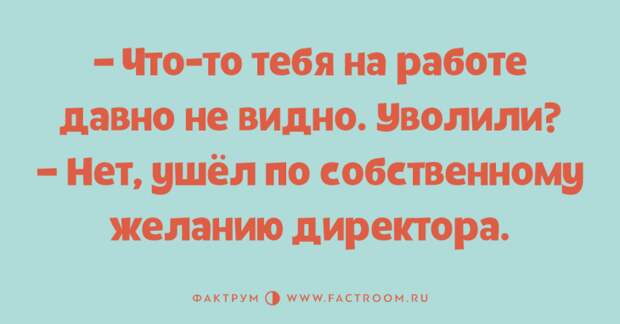 Восхитительные анекдоты, добавляющие море позитива в ваш день