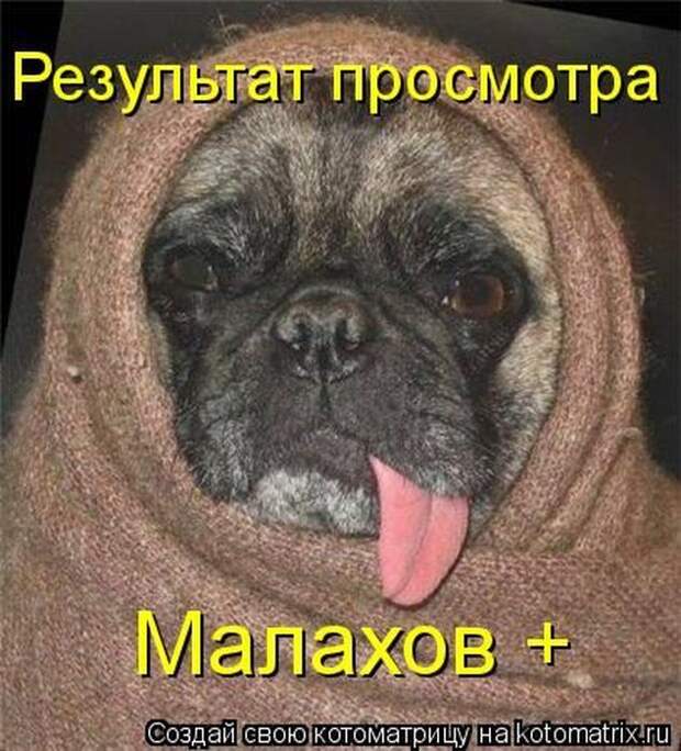 Мысли вслух :)