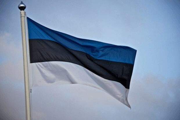Эстония собирается предъявить территориальные претензии России