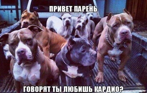 О пользе пробежек