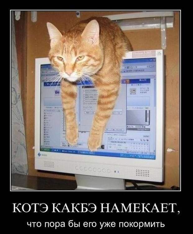 Демотиваторы