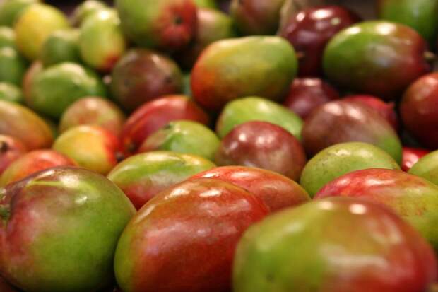 Диетолог Мосли рекомендовал отказаться от манго и ананасов при похудении