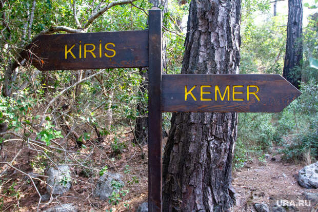 Турагенты заявили об ажиотаже после открытия Турции. «100 запросов за два дня»