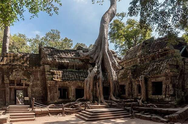 Ta Promh Temple In Cambodia Ta Promh Temple In Cambodia