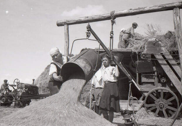 Архивное фото: 30-е годы, работа на обмолотке зерна. Молотилка ДВО-32.