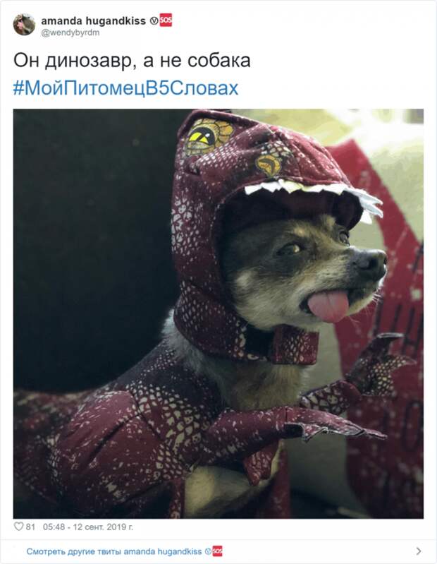 Флешмоб «Мой питомец в пяти словах» Флешмоб «Мой питомец в пяти словах»