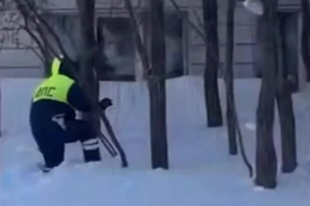 Волк показала видео, как полицейские ловили на улицах Югорска рысь