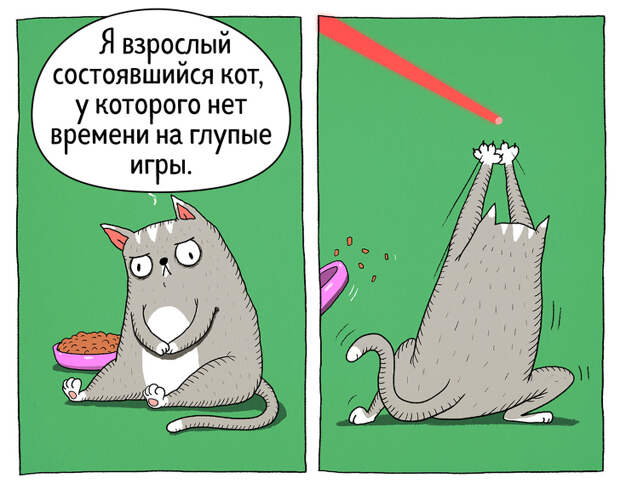 14 комиксов о том, что коты — самые противоречивые создания на планете