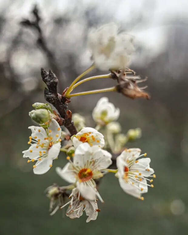 Доброе утро! И хорошего дня!