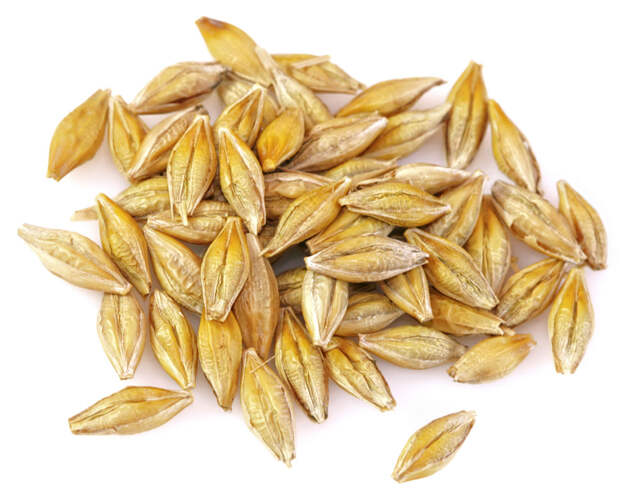 iStock_10286751_LARGE.jpg
