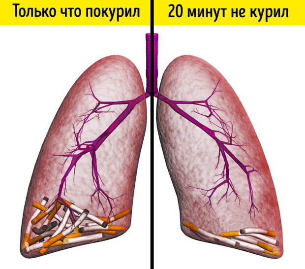 20+ неожиданных изменений произойдут в организме, если отказаться от сигарет хотя бы на 2 недели