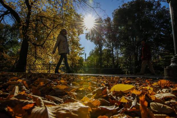 Осень в Центральном парке Нью-Йорка