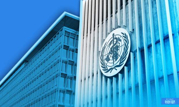 ВОЗ мониторит ситуацию со случаями заражения оспой обезьян в Подмосковье