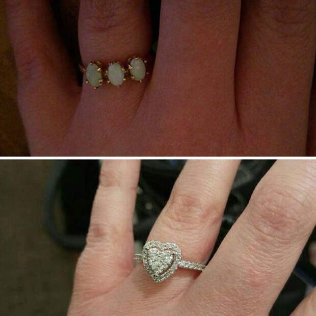 man-proposes-girlfriend-tiny-rescue-cat-vinegret-2