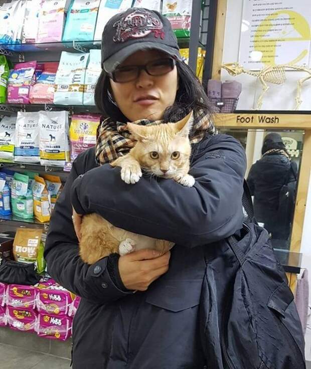 Котенок был так голоден, что ел грязь Котенок был так голоден, что ел грязь