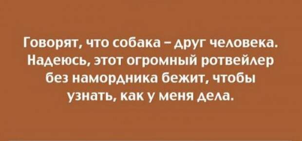 Подборка открыток для настроения (17 штучек) Подборка открыток для настроения (17 штучек)