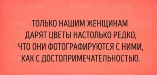 Минутка юмора: смешные открытки для поднятия настроения