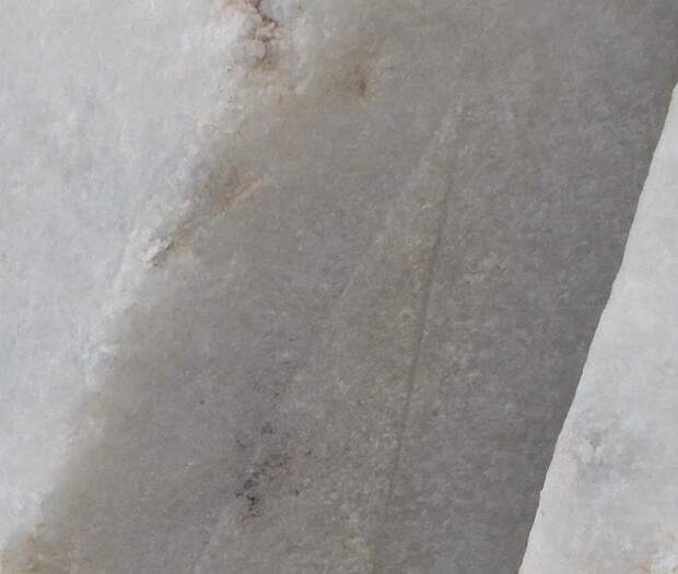 личный архив